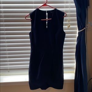 BCBG Dress!